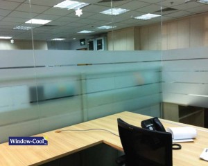 Frosted Privacy Window Film for Office Room