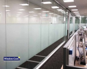 Frosted Privacy Window Film for Office Room