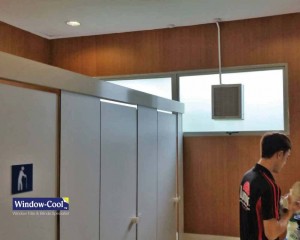 Frosted Privacy Window Film for Commercial Toilet Window