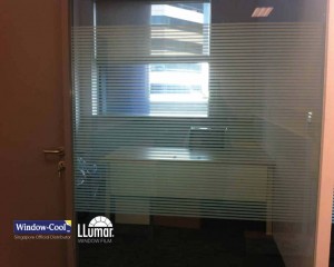 Decorative Patterned Film for Office Room